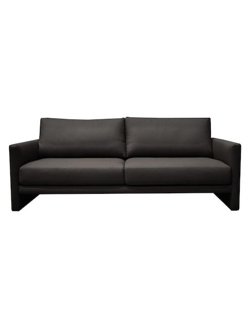Love seat de piel 1