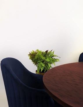 Comedor LondonPlus Ilios Innova para 6 personas de madera