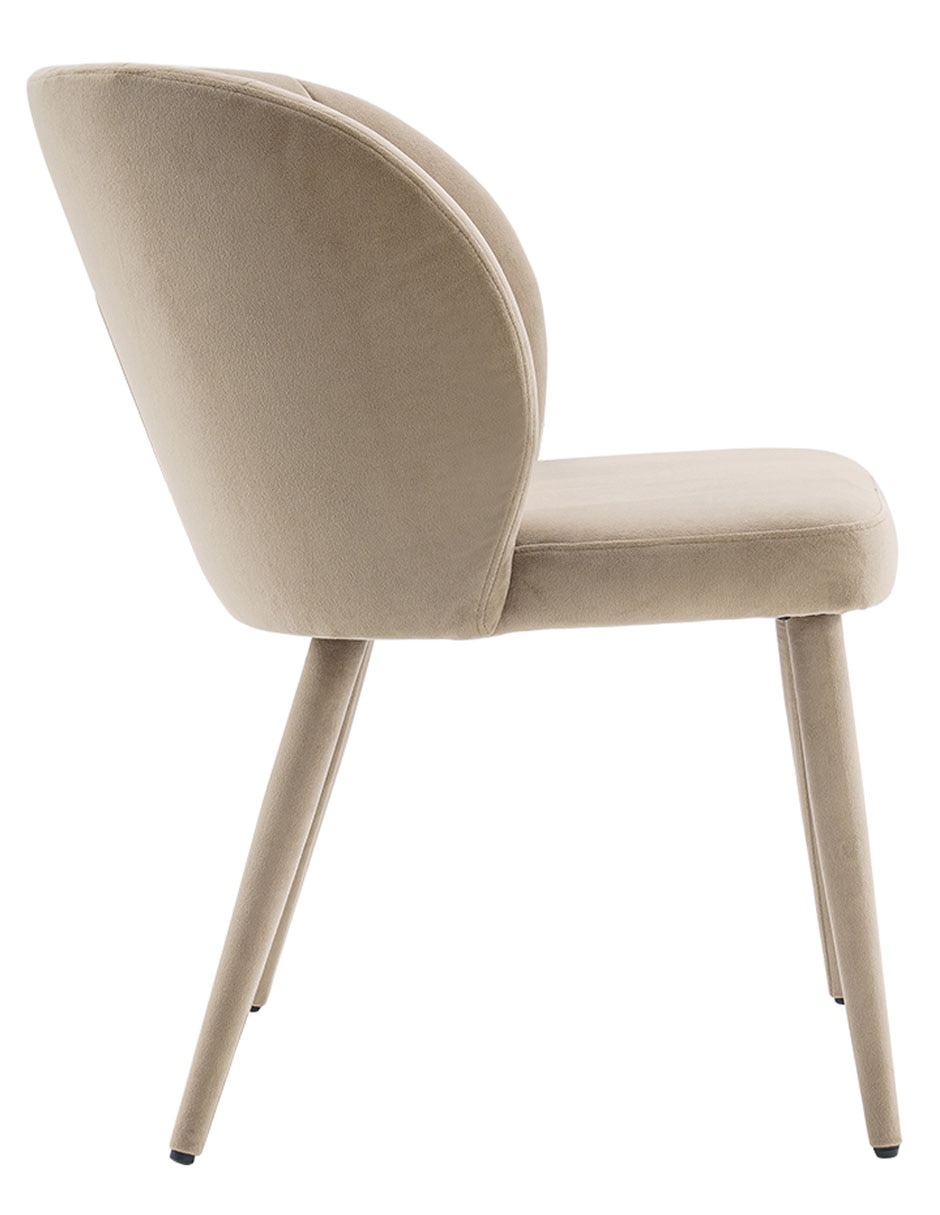 Silla Cami Re de acero inoxidable 3