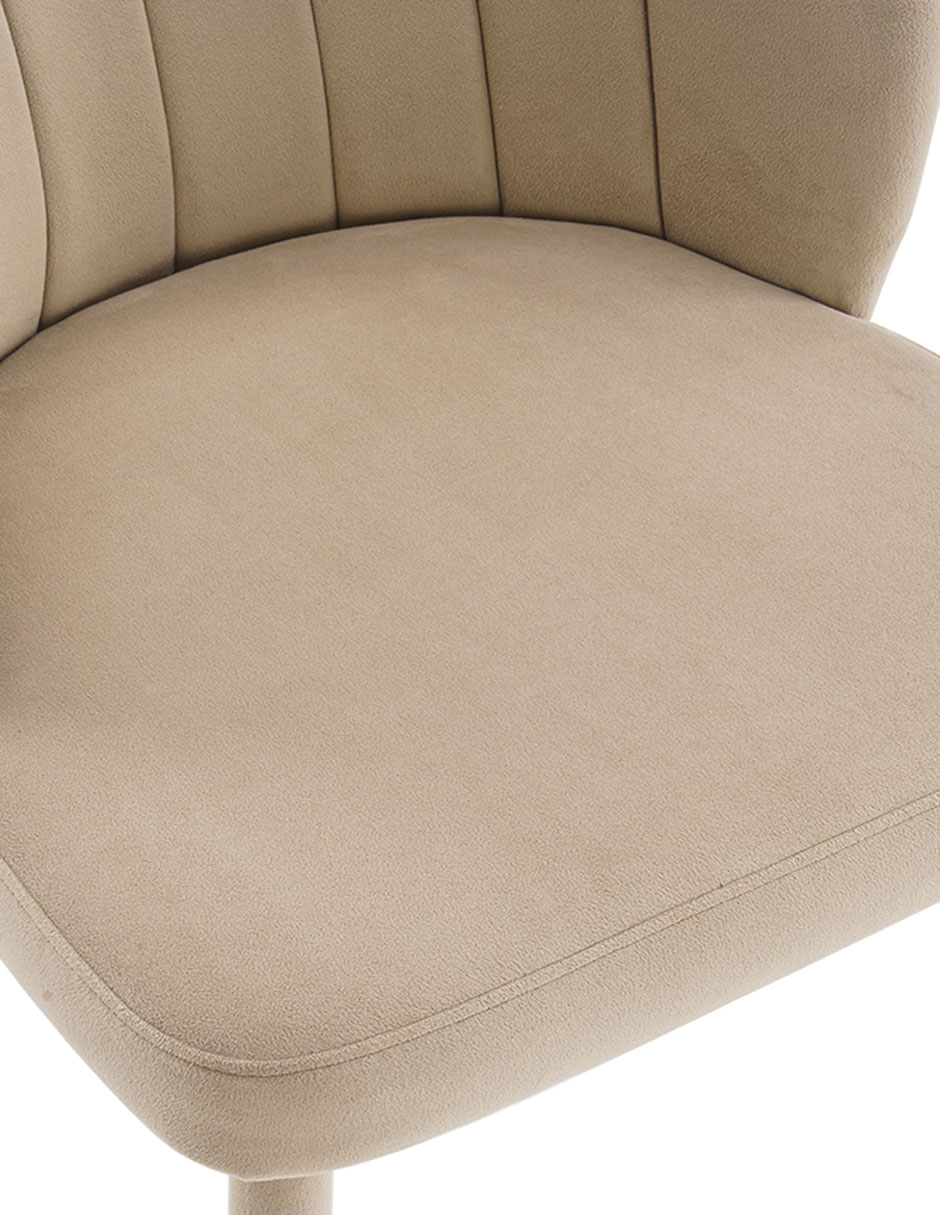 Silla Cami Re de acero inoxidable 6