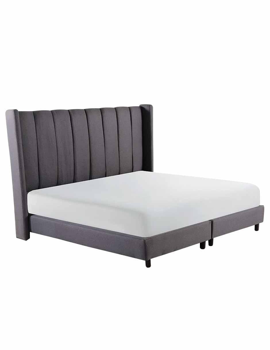 Cabecera Sander 2