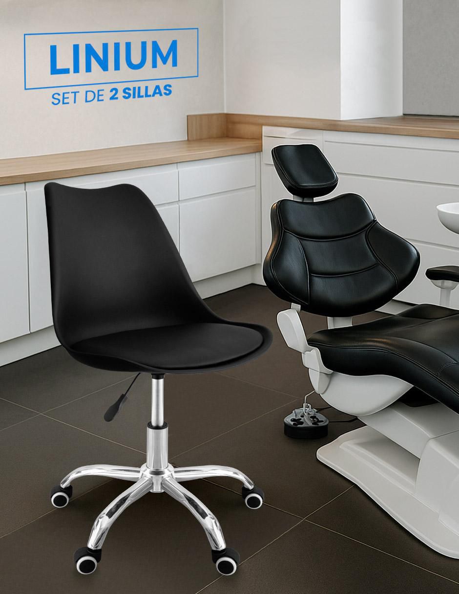 Set de silla de escritorio 2 piezas 10
