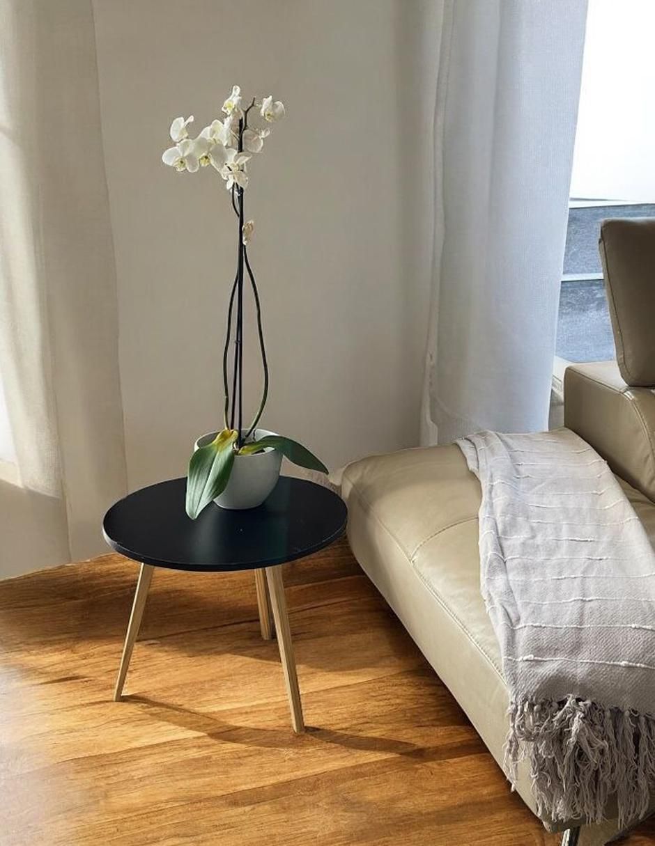 Mesa de centro armable Anisa kKnot Studio de mdf 5