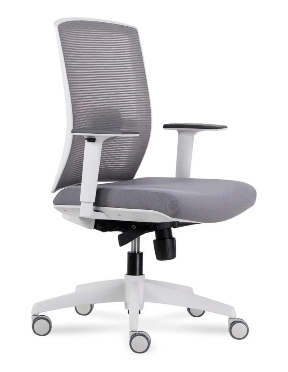 Silla escritorio Ergonómica Taylor Gris Claro 2