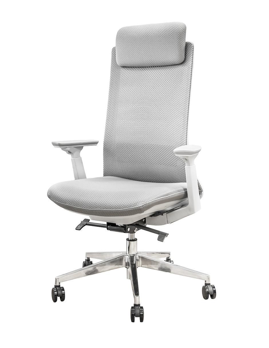 Silla de escritorio ErgoElite 2