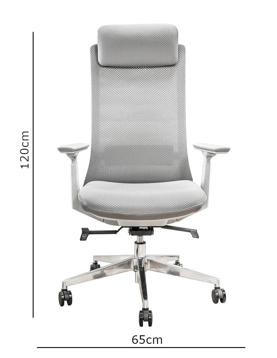 Silla de escritorio ErgoElite 6